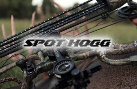 Spot-Hogg-1