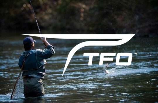 tfo1-1