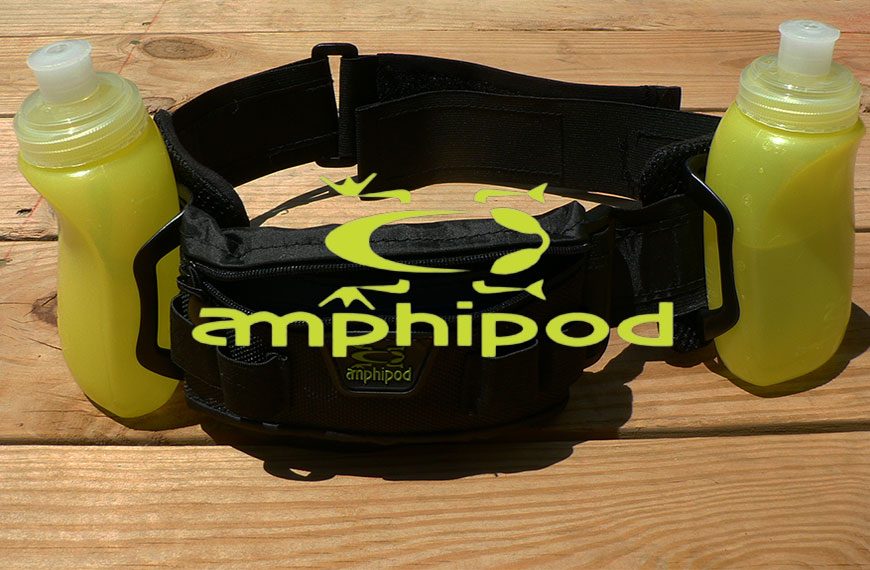 amphipod