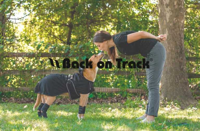 Back On Track