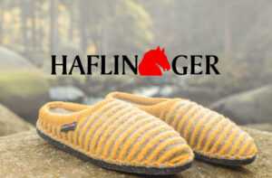 Haflinger