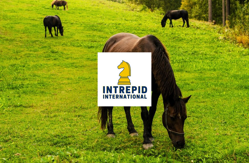 Intrepid International 1
